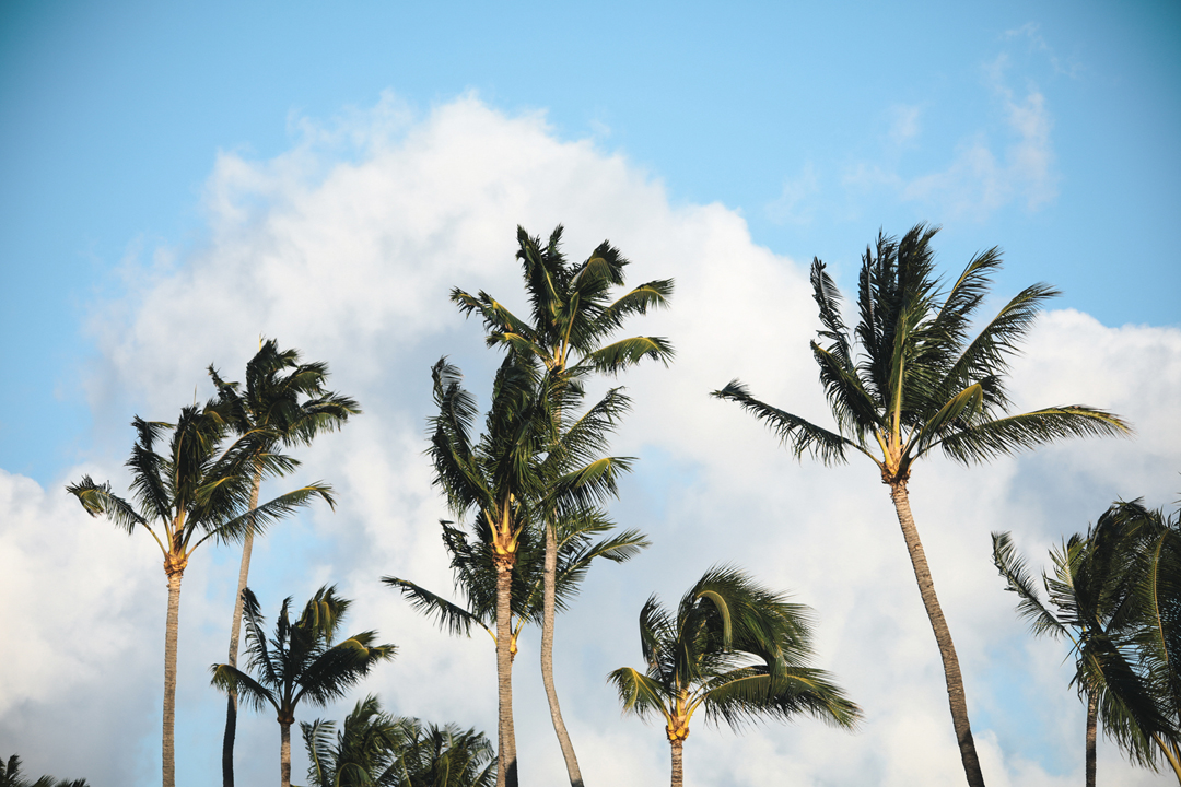 Nearby Activities callout