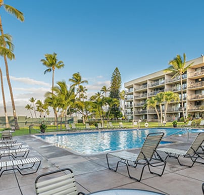 Thing To Do 1 Bedroom