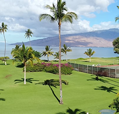 Thing To Do Beach View